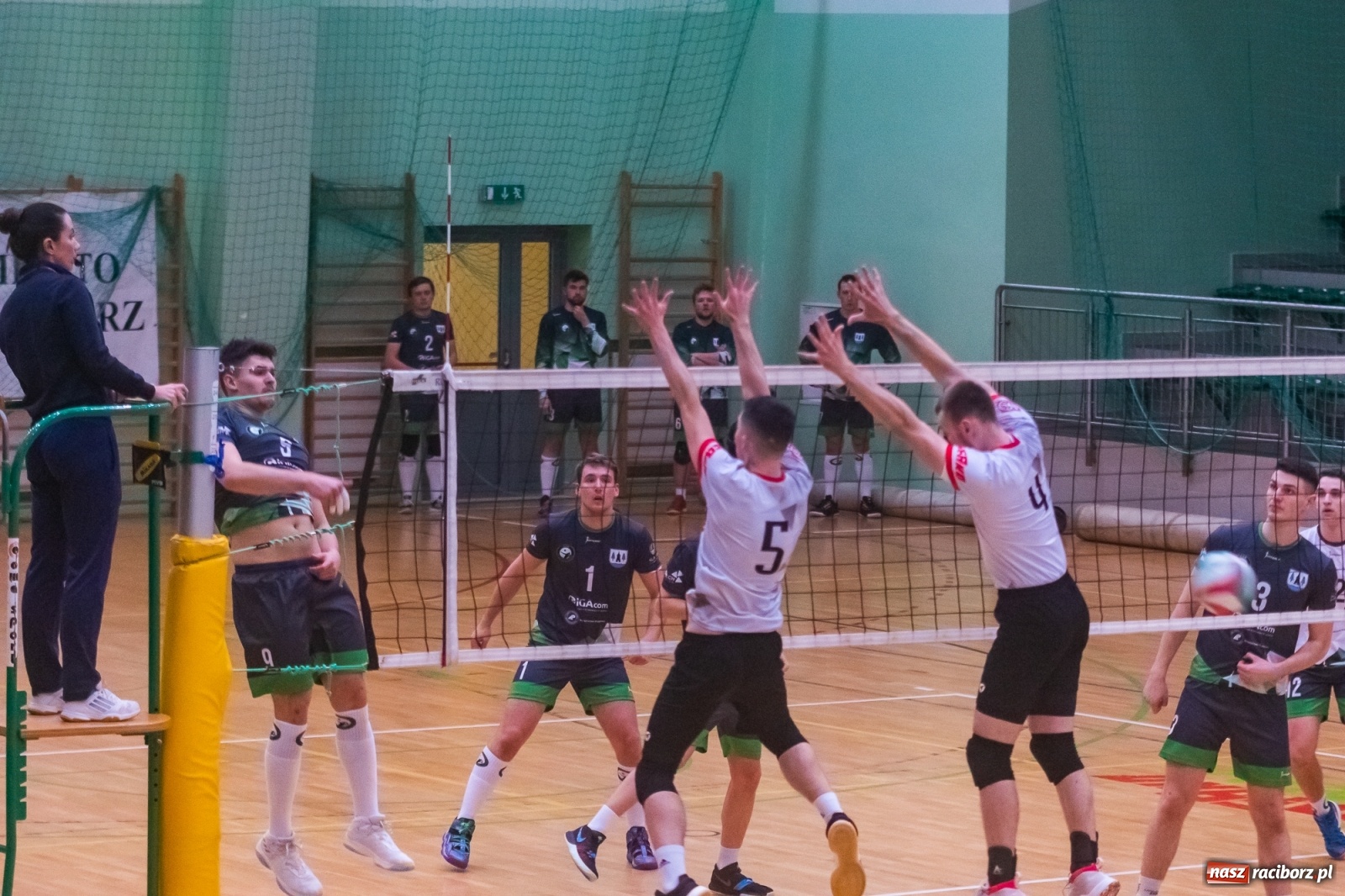 Zdjęcie w galerii na portalu naszraciborz.pl: Siatkówka. AZS Rafako lepszy od Rudzińca [FOTO i WIDEO] wiadomości z regionu