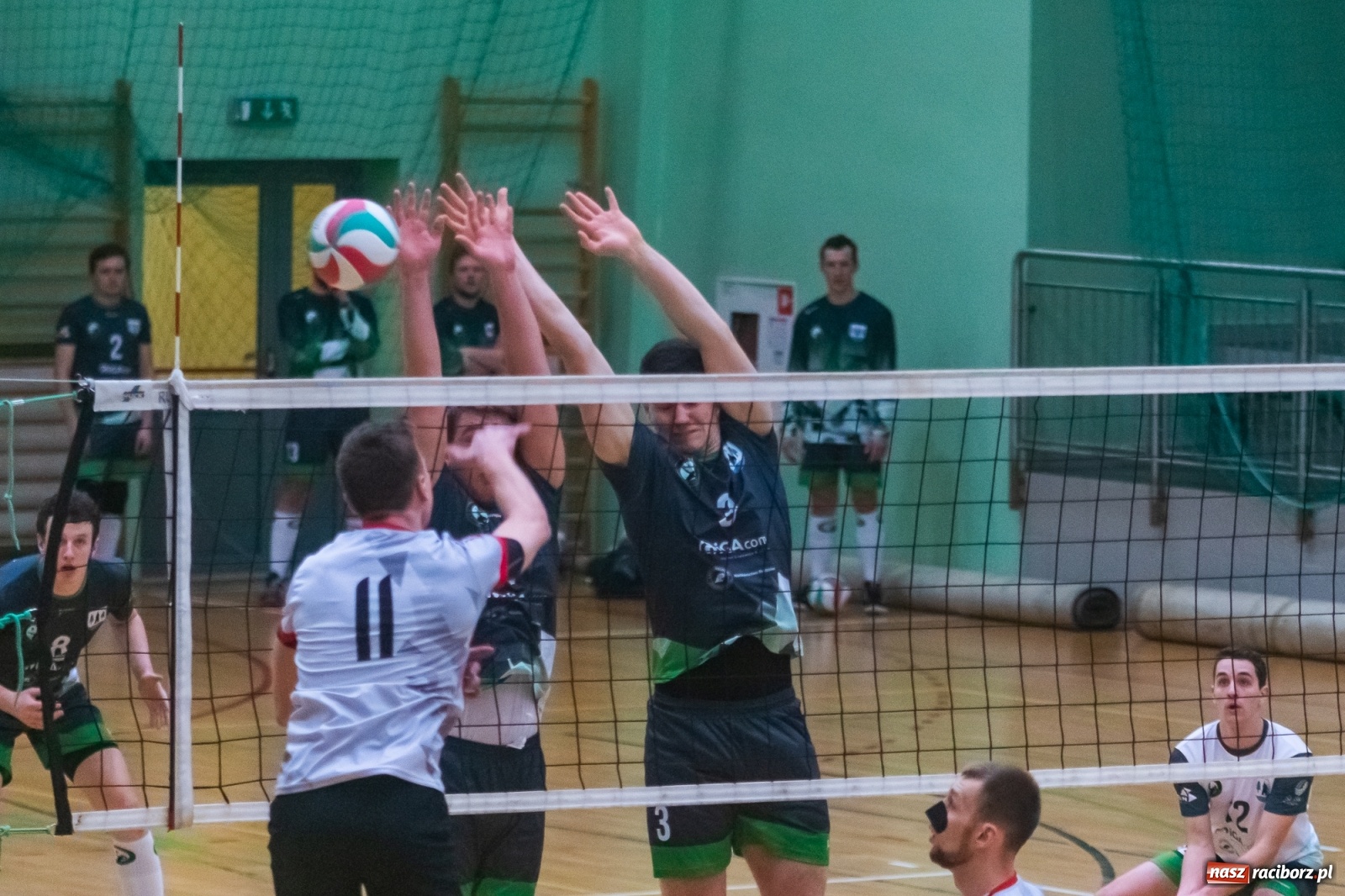 Zdjęcie w galerii na portalu naszraciborz.pl: Siatkówka. AZS Rafako lepszy od Rudzińca [FOTO i WIDEO] wiadomości z regionu