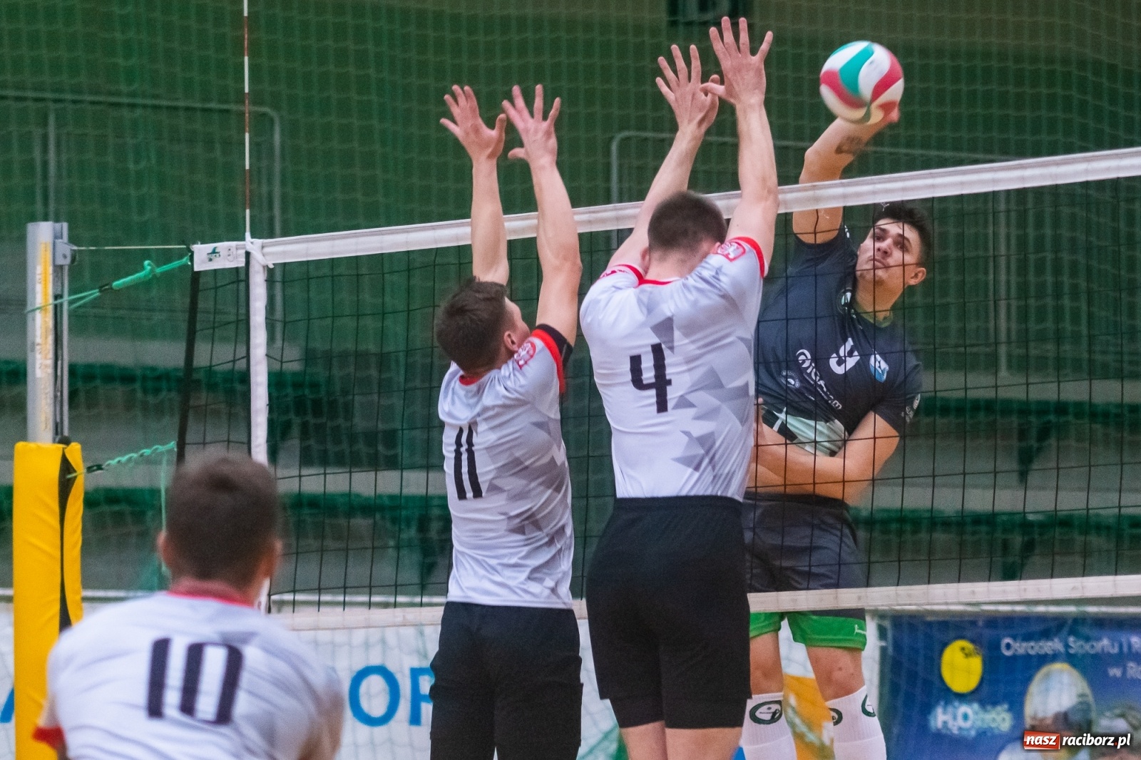 Zdjęcie w galerii na portalu naszraciborz.pl: Siatkówka. AZS Rafako lepszy od Rudzińca [FOTO i WIDEO] wiadomości z regionu