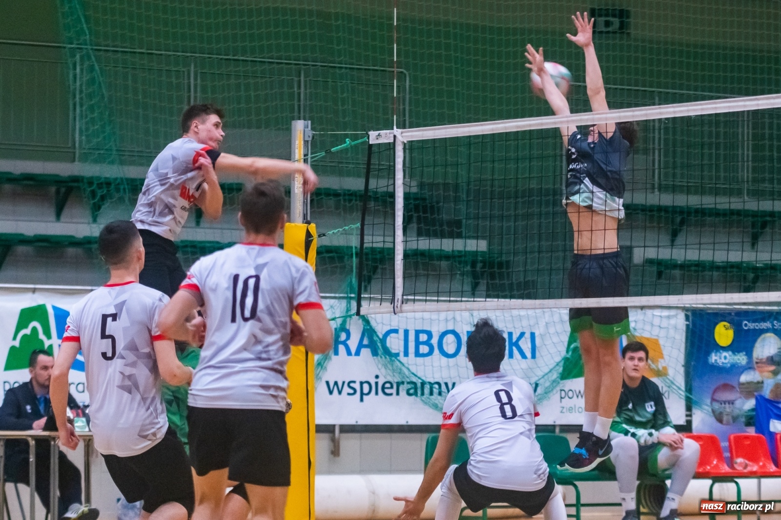 Zdjęcie w galerii na portalu naszraciborz.pl: Siatkówka. AZS Rafako lepszy od Rudzińca [FOTO i WIDEO] wiadomości z regionu
