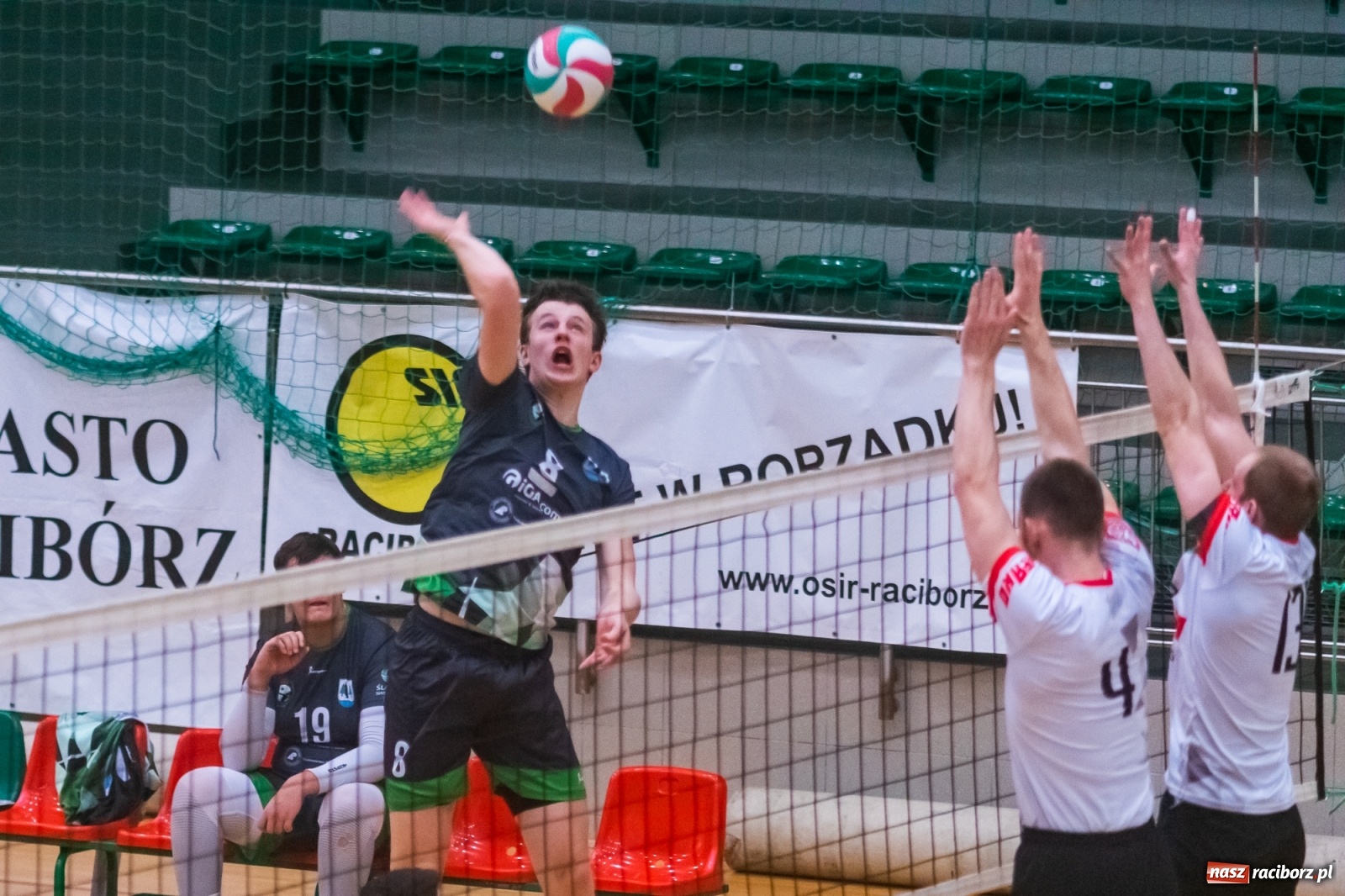 Zdjęcie w galerii na portalu naszraciborz.pl: Siatkówka. AZS Rafako lepszy od Rudzińca [FOTO i WIDEO] wiadomości z regionu