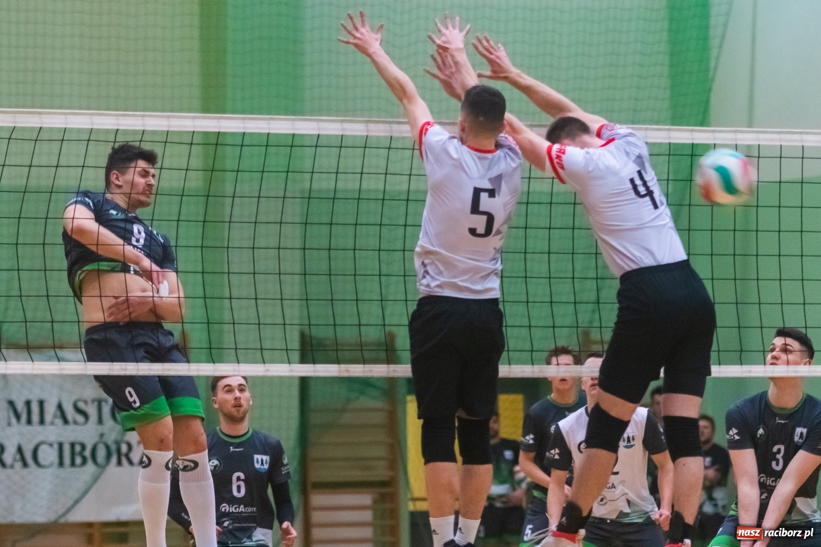 Zdjęcie w galerii na portalu naszraciborz.pl: Siatkówka. AZS Rafako lepszy od Rudzińca [FOTO i WIDEO] wiadomości z regionu