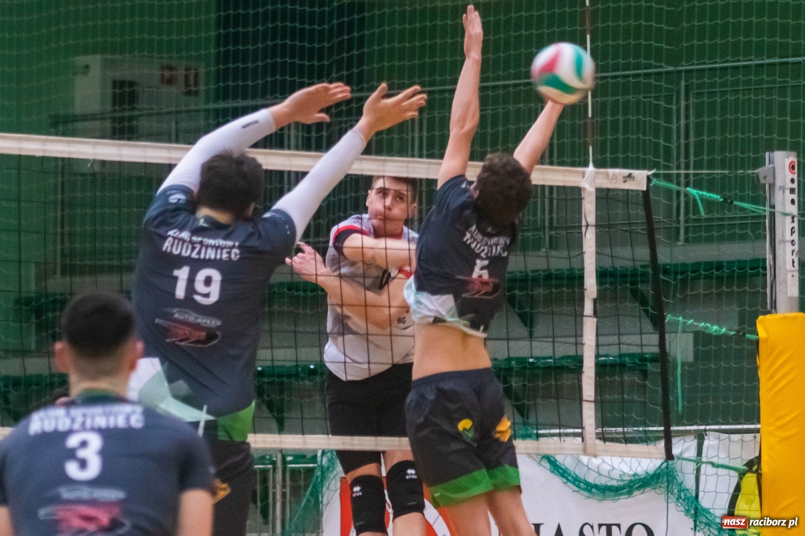 Zdjęcie w galerii na portalu naszraciborz.pl: Siatkówka. AZS Rafako lepszy od Rudzińca [FOTO i WIDEO] wiadomości z regionu