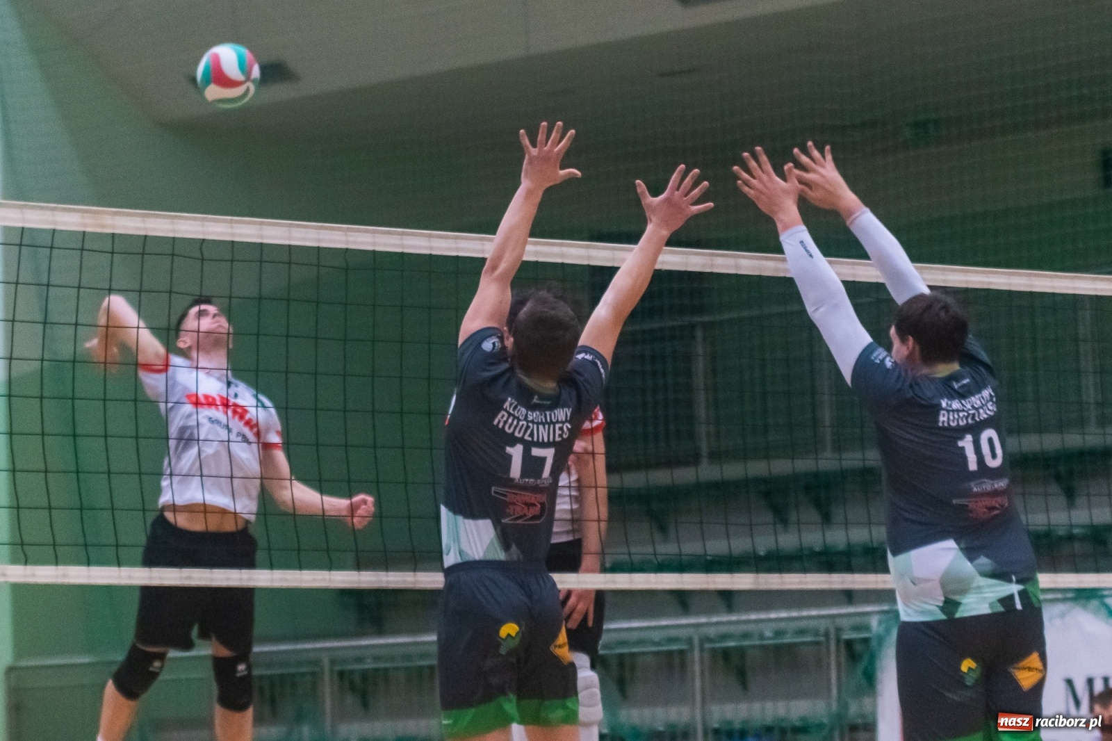 Zdjęcie w galerii na portalu naszraciborz.pl: Siatkówka. AZS Rafako lepszy od Rudzińca [FOTO i WIDEO] wiadomości z regionu