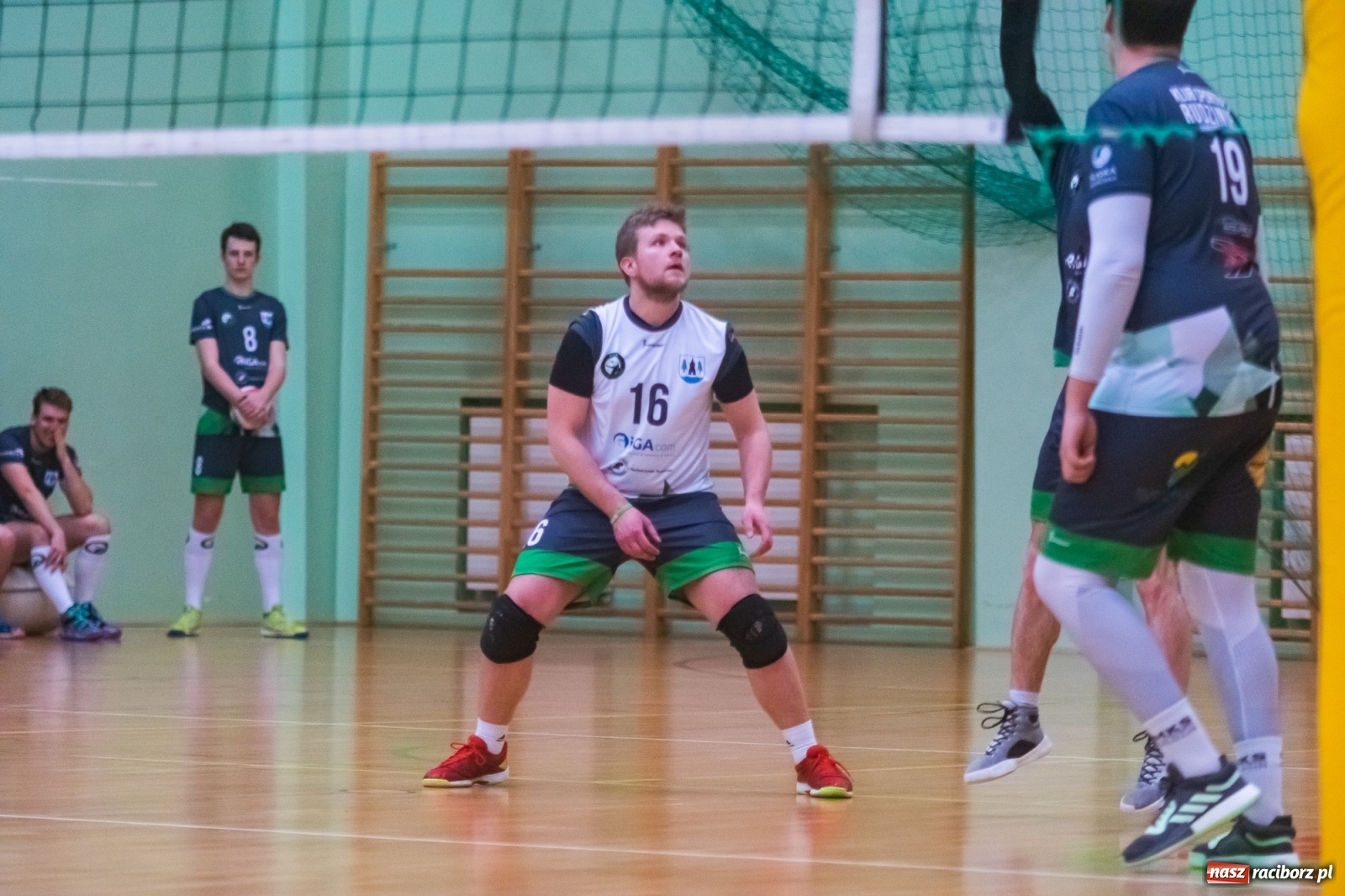 Zdjęcie w galerii na portalu naszraciborz.pl: Siatkówka. AZS Rafako lepszy od Rudzińca [FOTO i WIDEO] wiadomości z regionu