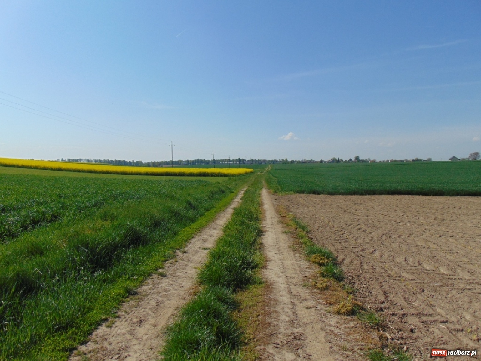 Zdjęcie w galerii na portalu naszraciborz.pl: Powiatowa operacja scalania gruntów w gminie Pietrowice Wielkie wiadomości z regionu