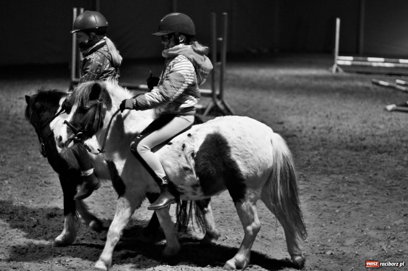 Zdjęcie w galerii na portalu naszraciborz.pl: Ruszyły zapisy na obóz konny w Klubie Jeździeckim Szymocice wiadomości z regionu