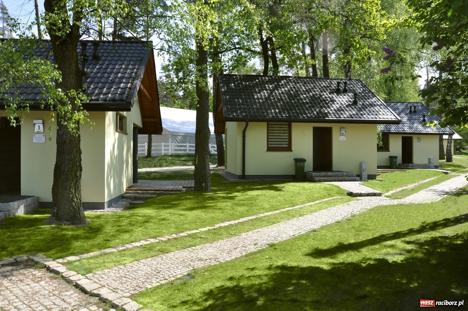 Zdjęcie w galerii na portalu naszraciborz.pl: Ruszyły zapisy na obóz konny w Klubie Jeździeckim Szymocice wiadomości z regionu