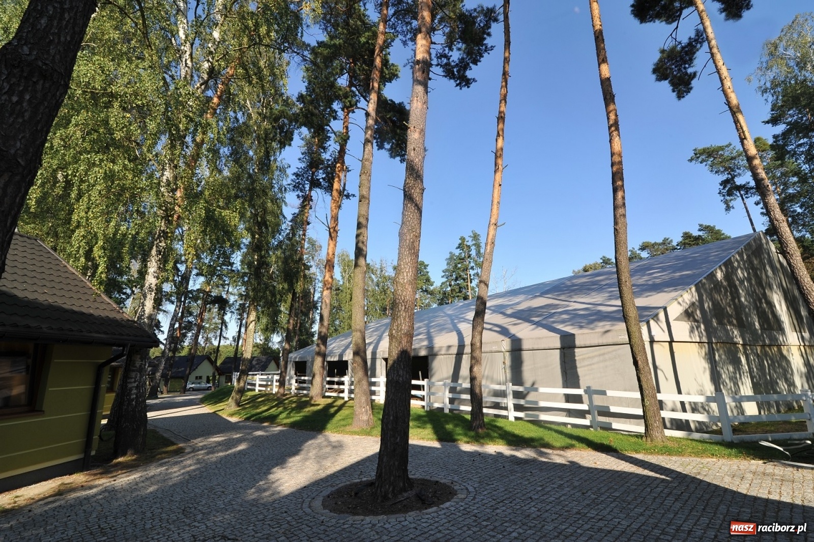 Zdjęcie w galerii na portalu naszraciborz.pl: Ruszyły zapisy na obóz konny w Klubie Jeździeckim Szymocice wiadomości z regionu