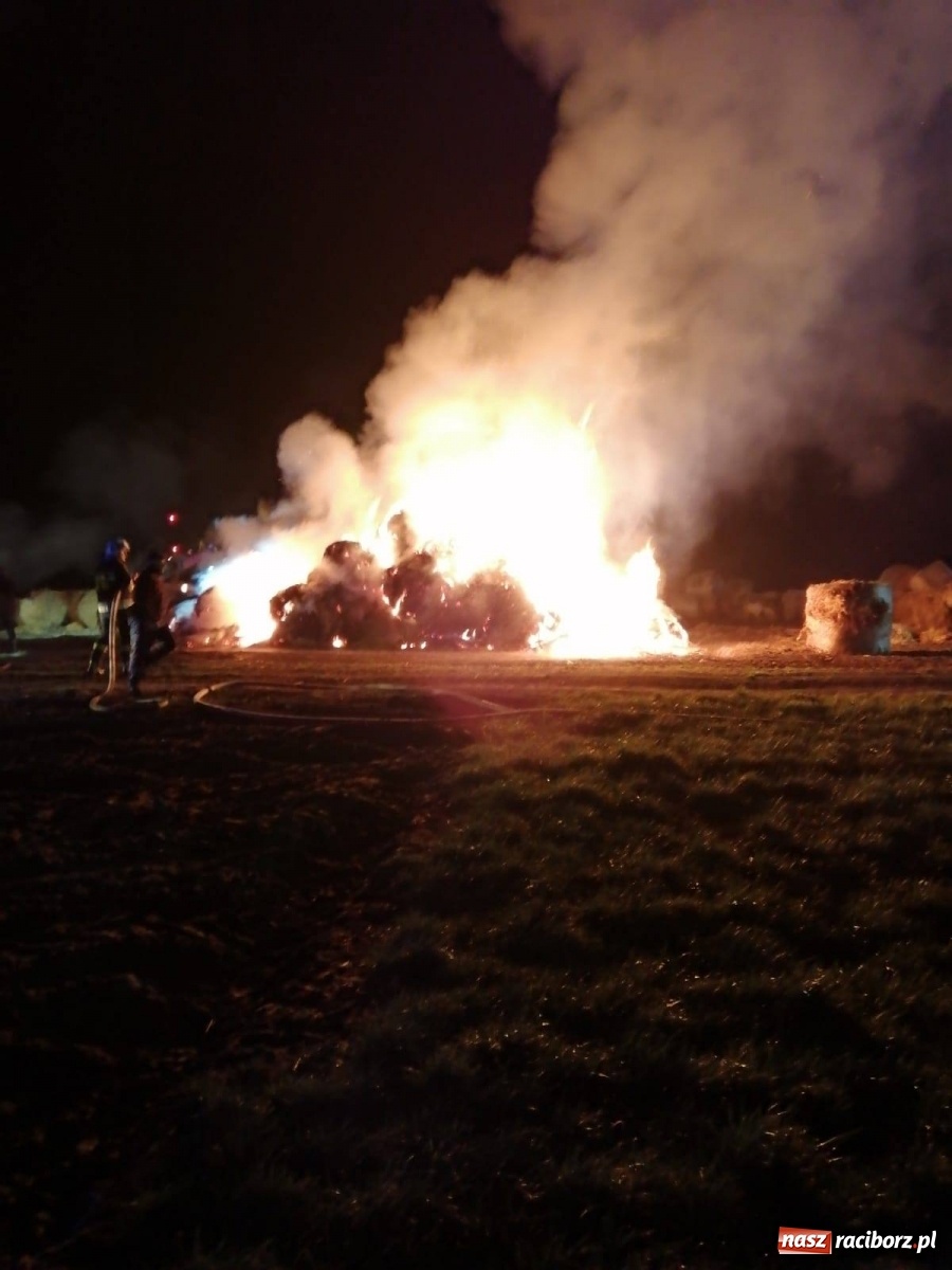 Zdjęcie w galerii na portalu naszraciborz.pl: Podpalacz uderzył w Krzanowicach [FOTO] wiadomości z regionu