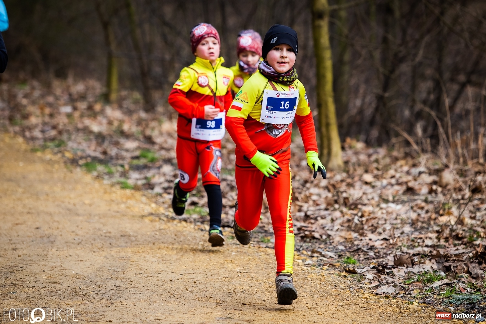 Zdjęcie w galerii na portalu naszraciborz.pl: Bieg Tropem Wilczym w Arboretum Bramy Morawskiej wiadomości z regionu