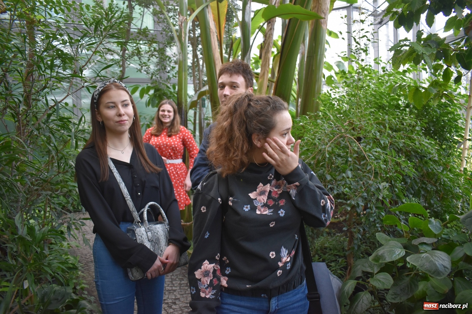 Zdjęcie w galerii na portalu naszraciborz.pl: Uczniowie Budowlanki i Gastronomika z nowymi kompetencjami  wiadomości z regionu