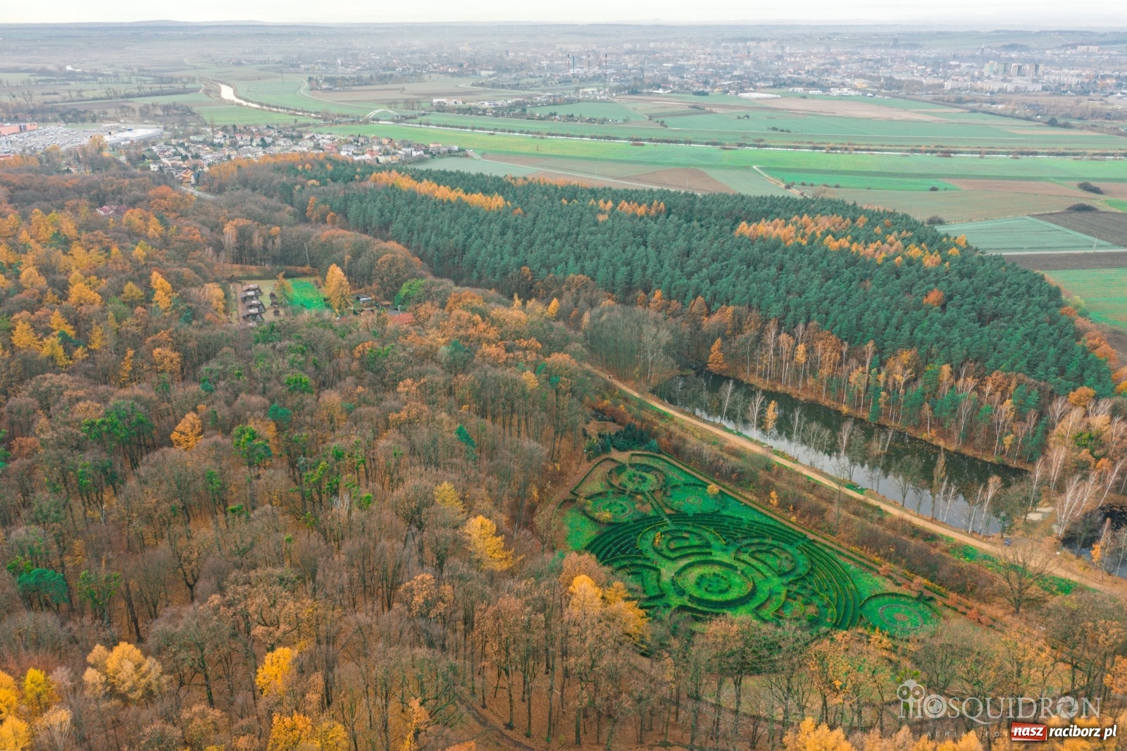 Zdjęcie w galerii na portalu naszraciborz.pl: Wolny etat w Arboretum Bramy Morawskiej  wiadomości z regionu
