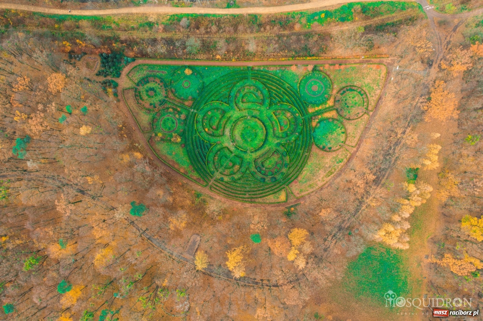 Zdjęcie w galerii na portalu naszraciborz.pl: Wolny etat w Arboretum Bramy Morawskiej  wiadomości z regionu