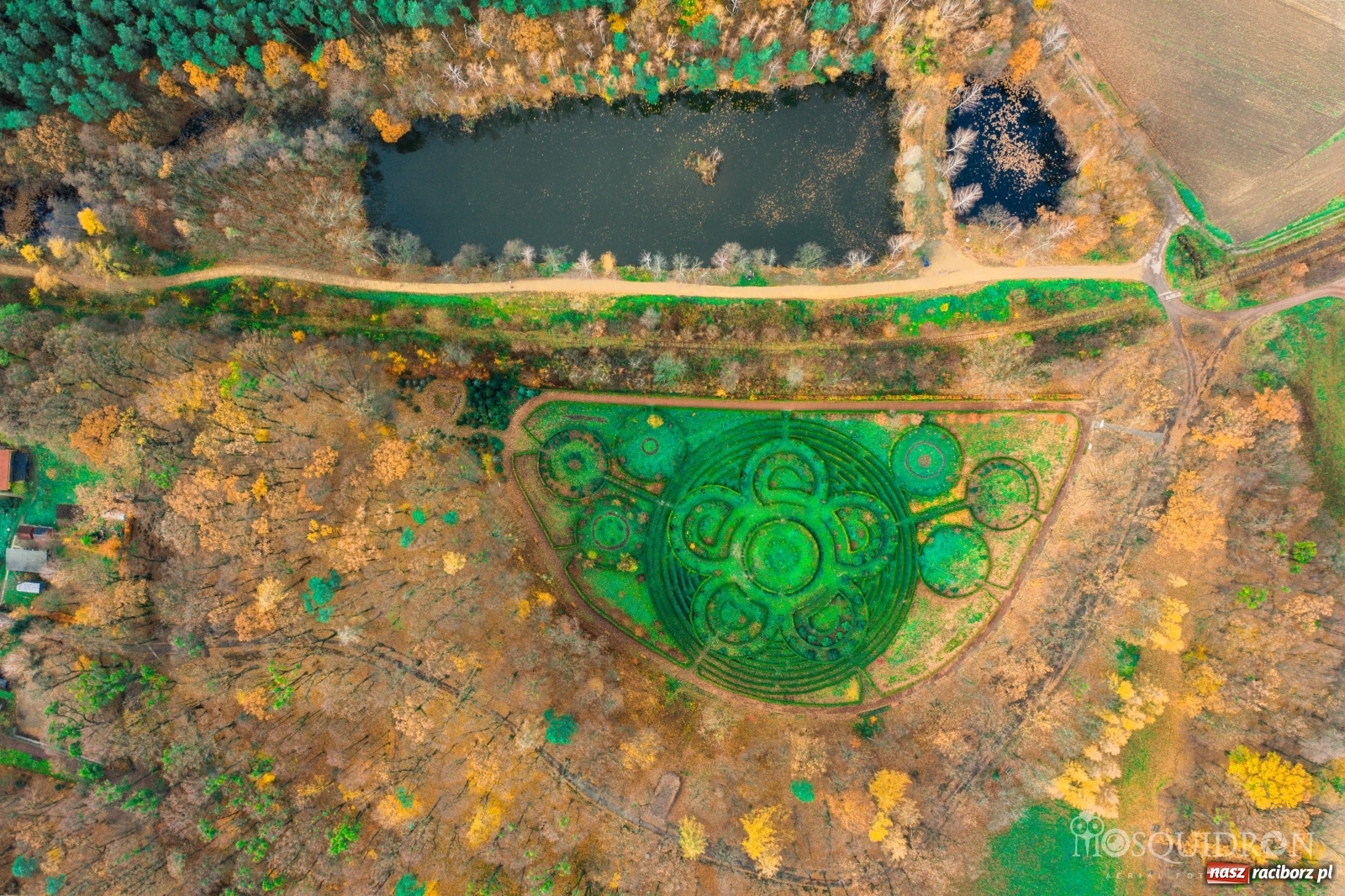 Zdjęcie w galerii na portalu naszraciborz.pl: Wolny etat w Arboretum Bramy Morawskiej  wiadomości z regionu