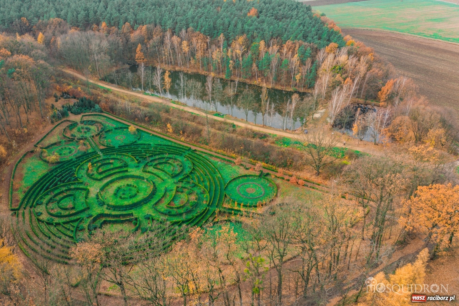 Zdjęcie w galerii na portalu naszraciborz.pl: Wolny etat w Arboretum Bramy Morawskiej  wiadomości z regionu