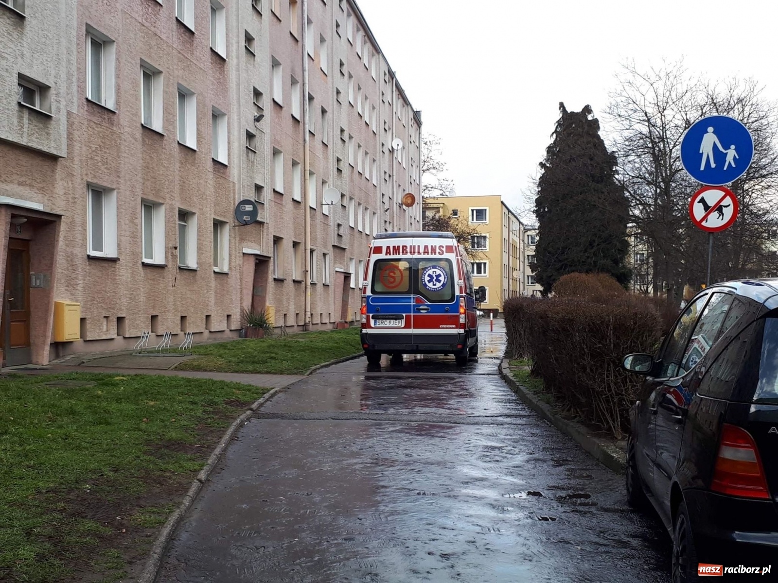 Zdjęcie w galerii na portalu naszraciborz.pl: Raport 998. Przy Piwnej kobieta wzywała pomocy wiadomości z regionu