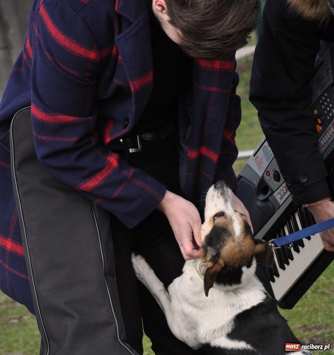 Zdjęcie w galerii na portalu naszraciborz.pl: Raciborscy artyści dla raciborskiego schroniska wiadomości z regionu