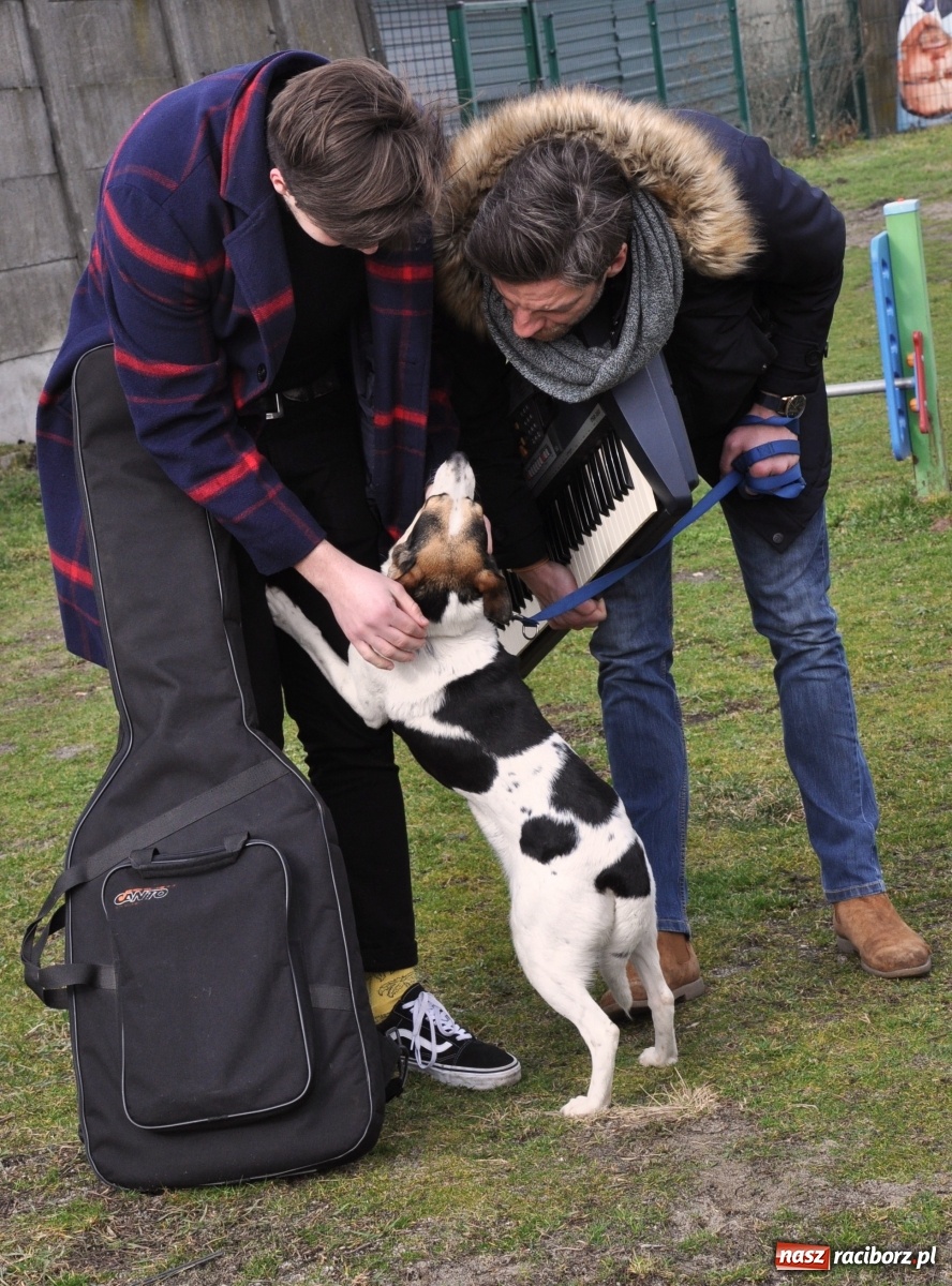 Zdjęcie w galerii na portalu naszraciborz.pl: Raciborscy artyści dla raciborskiego schroniska wiadomości z regionu