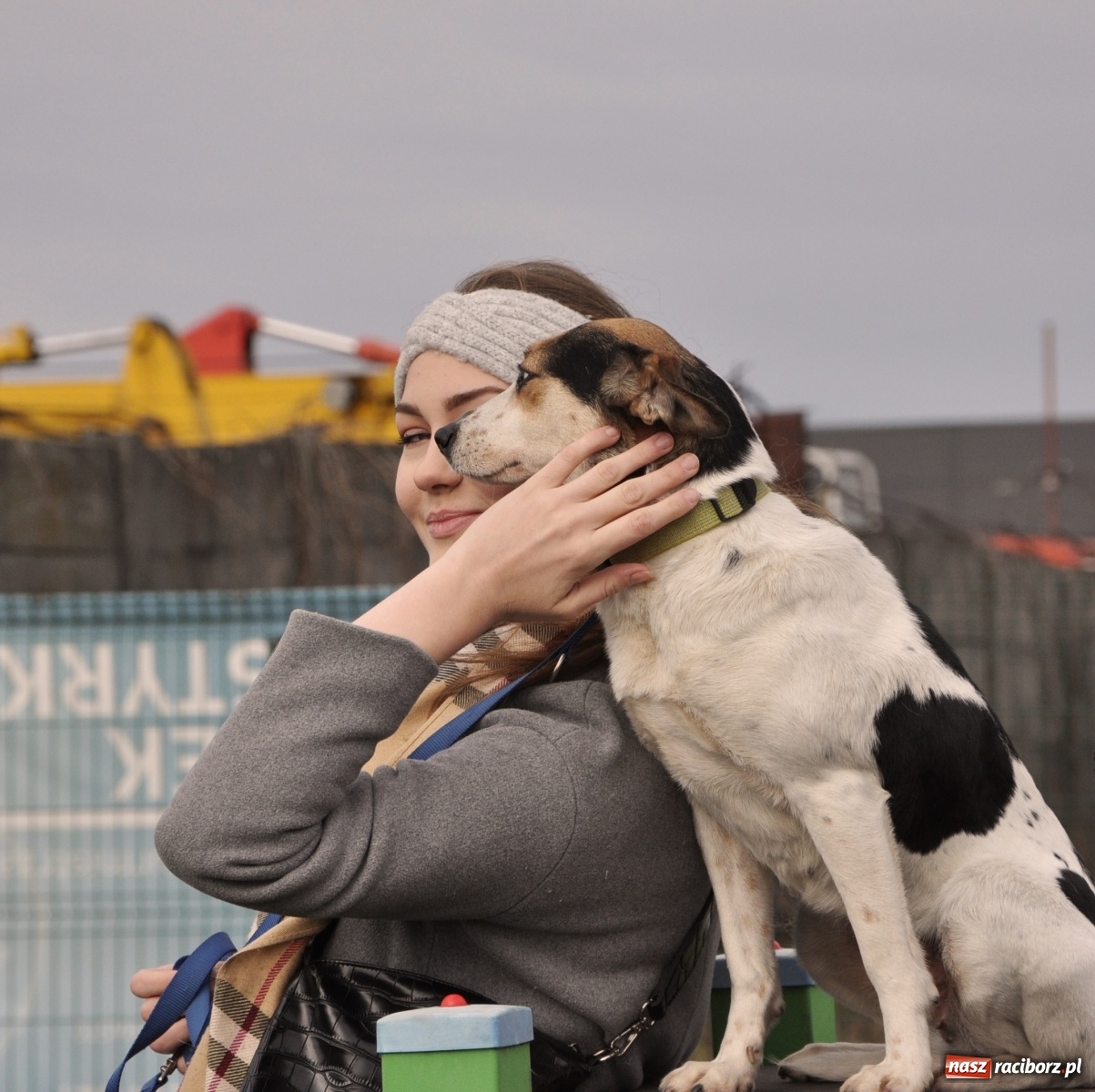 Zdjęcie w galerii na portalu naszraciborz.pl: Raciborscy artyści dla raciborskiego schroniska wiadomości z regionu
