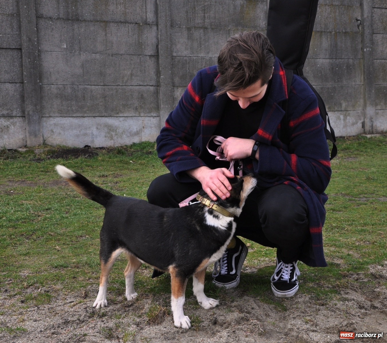 Zdjęcie w galerii na portalu naszraciborz.pl: Raciborscy artyści dla raciborskiego schroniska wiadomości z regionu