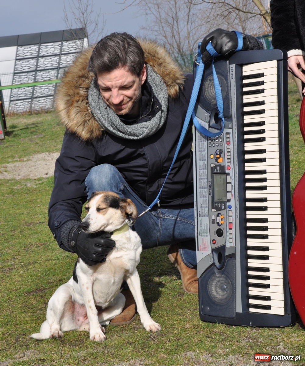 Zdjęcie w galerii na portalu naszraciborz.pl: Raciborscy artyści dla raciborskiego schroniska wiadomości z regionu