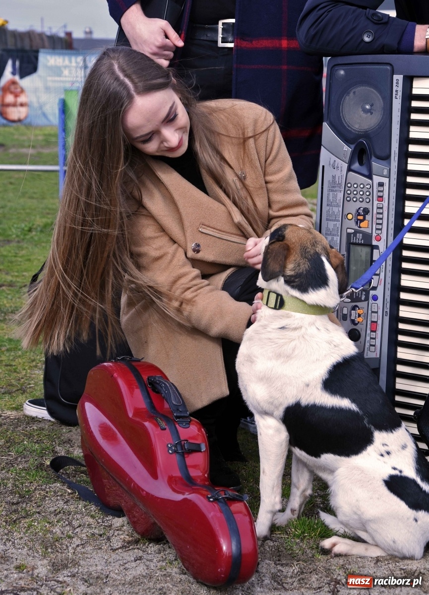 Zdjęcie w galerii na portalu naszraciborz.pl: Raciborscy artyści dla raciborskiego schroniska wiadomości z regionu