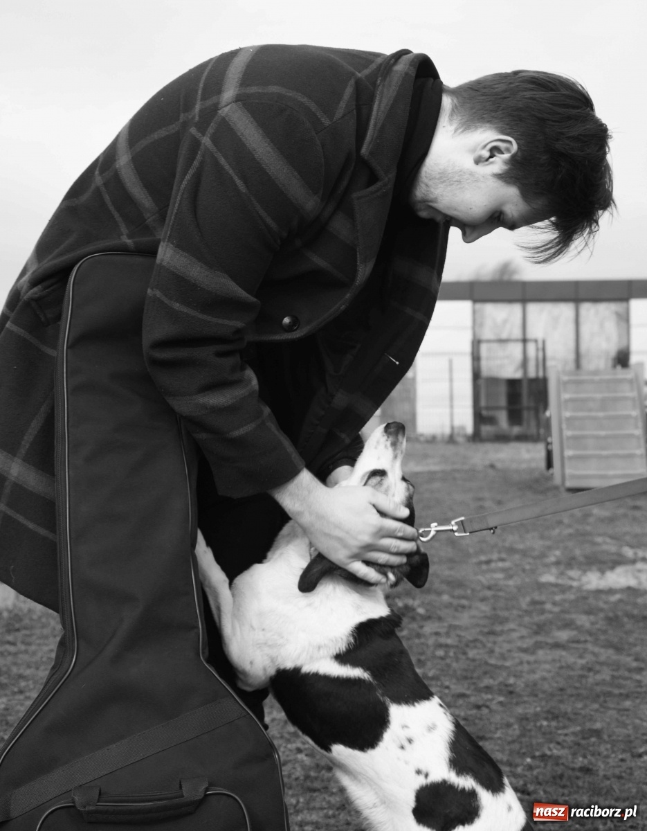 Zdjęcie w galerii na portalu naszraciborz.pl: Raciborscy artyści dla raciborskiego schroniska wiadomości z regionu