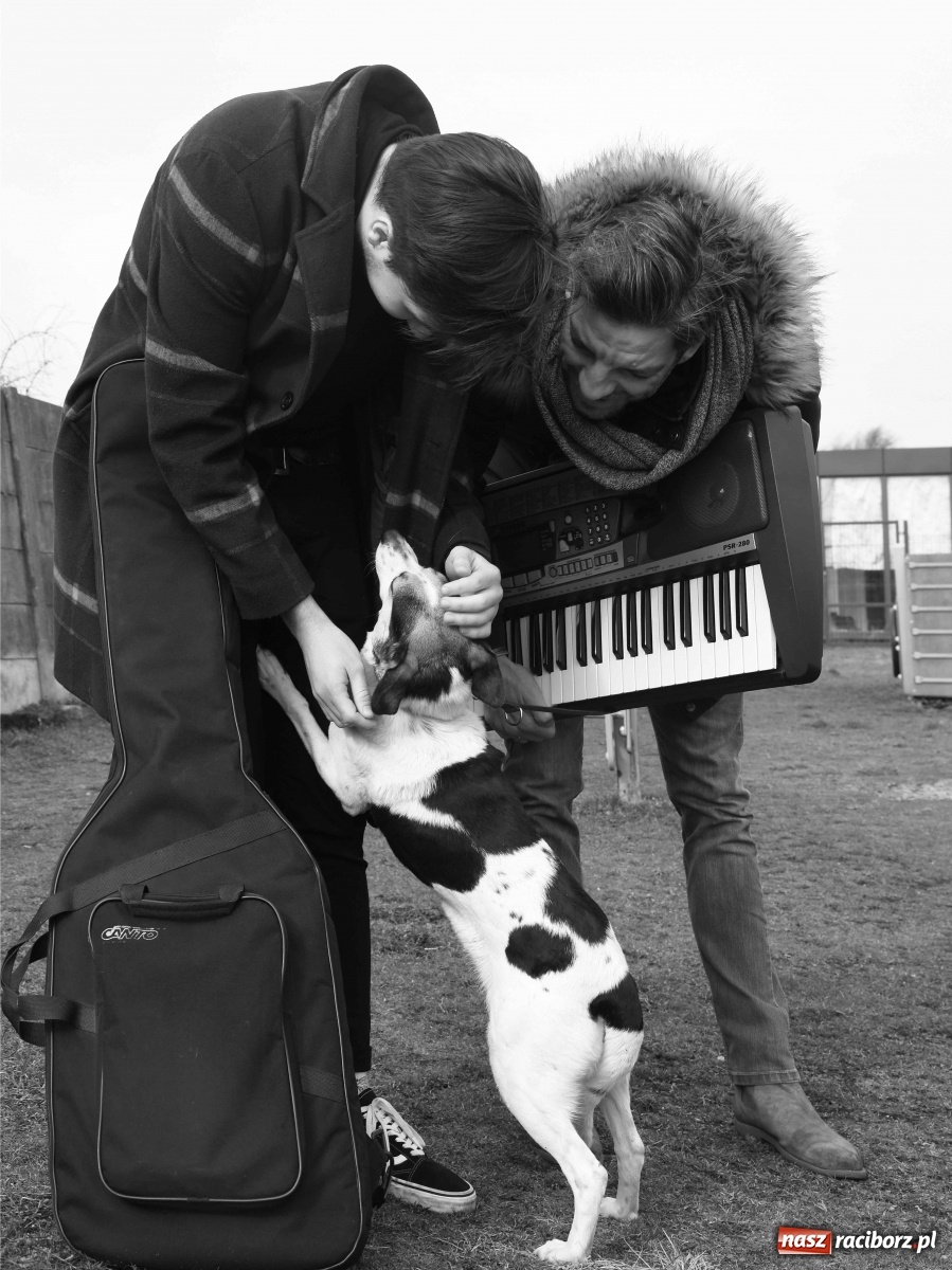 Zdjęcie w galerii na portalu naszraciborz.pl: Raciborscy artyści dla raciborskiego schroniska wiadomości z regionu