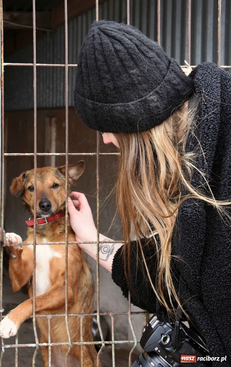 Zdjęcie w galerii na portalu naszraciborz.pl: Raciborscy artyści dla raciborskiego schroniska wiadomości z regionu