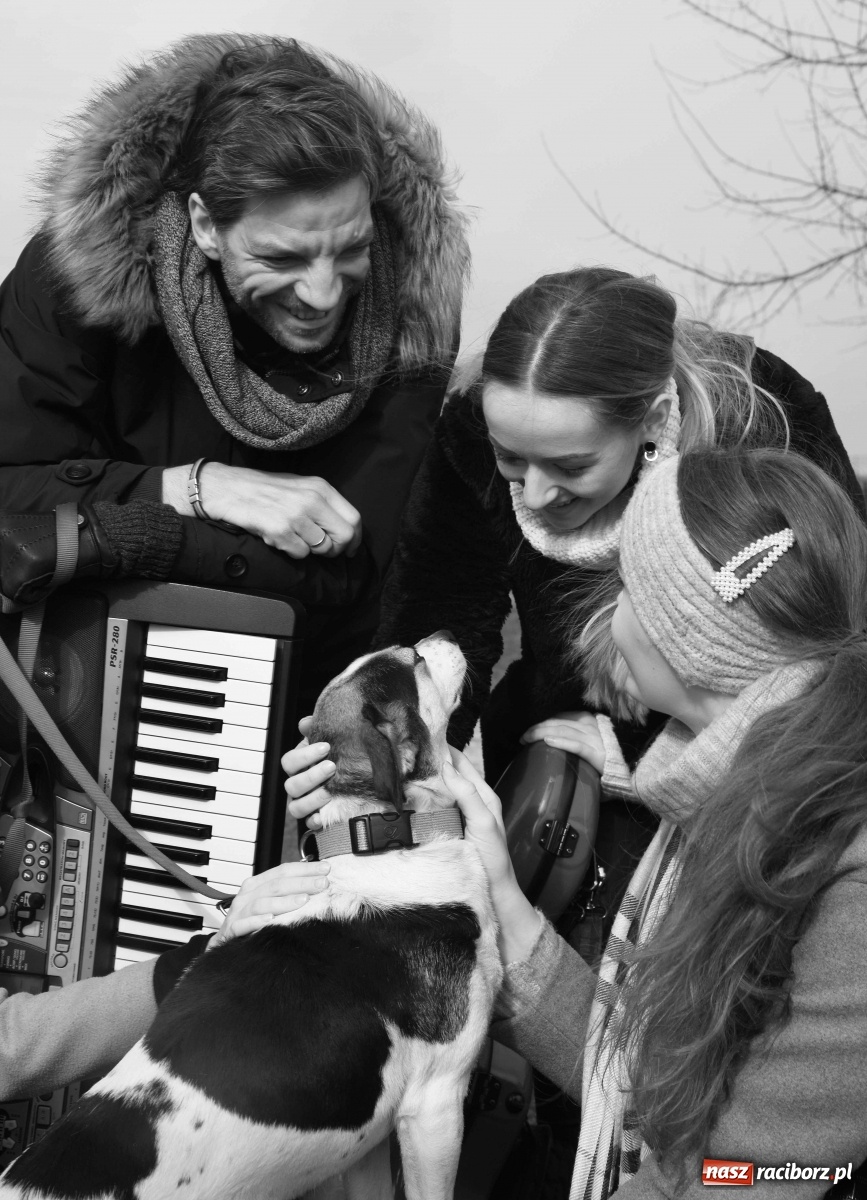 Zdjęcie w galerii na portalu naszraciborz.pl: Raciborscy artyści dla raciborskiego schroniska wiadomości z regionu