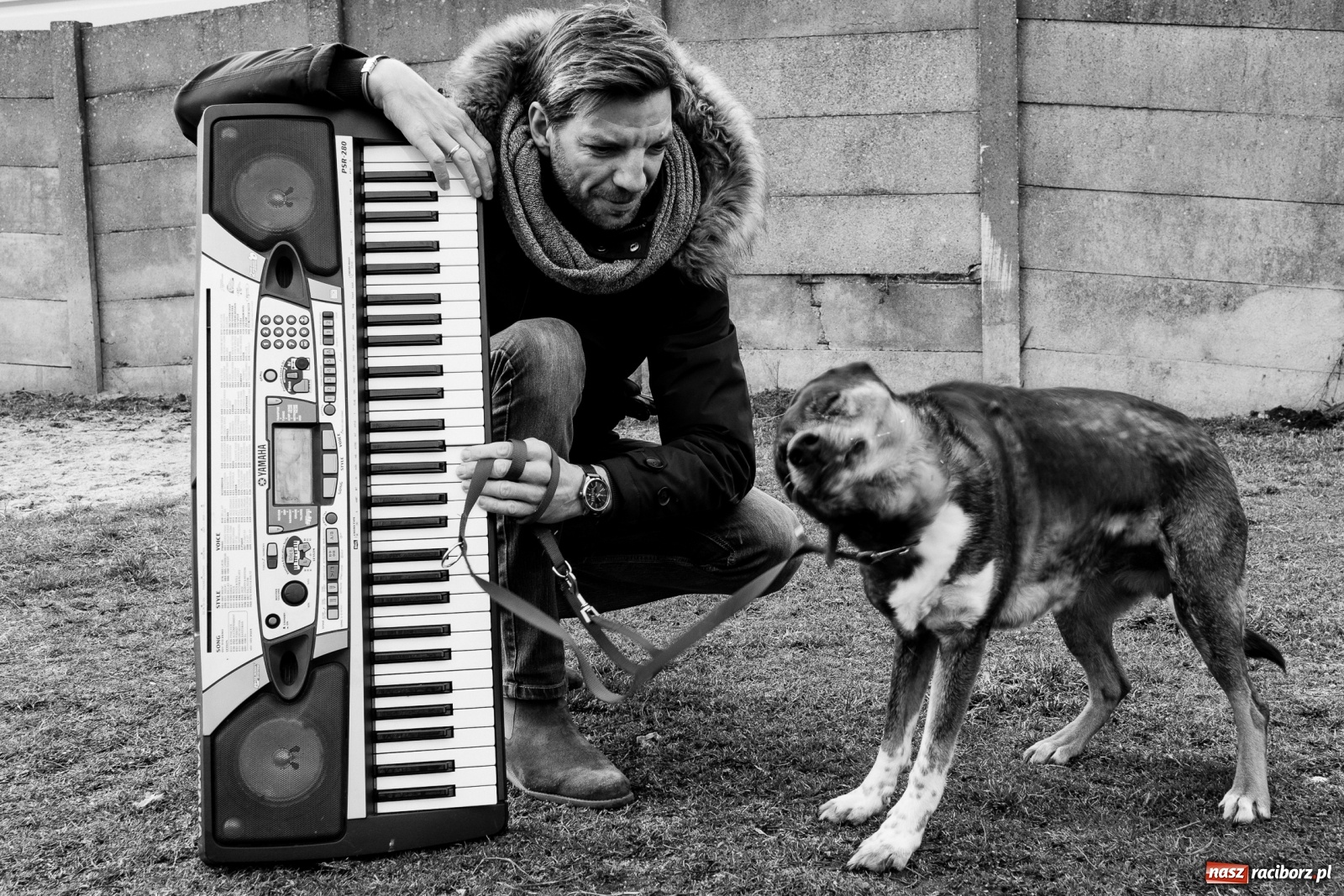 Zdjęcie w galerii na portalu naszraciborz.pl: Raciborscy artyści dla raciborskiego schroniska wiadomości z regionu