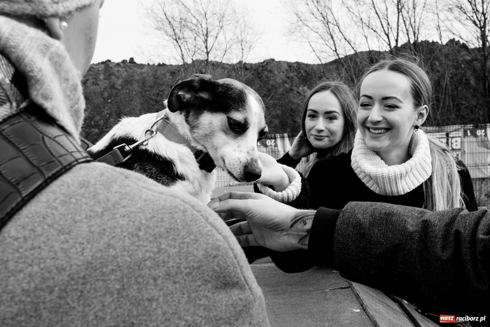 Zdjęcie w galerii na portalu naszraciborz.pl: Raciborscy artyści dla raciborskiego schroniska wiadomości z regionu