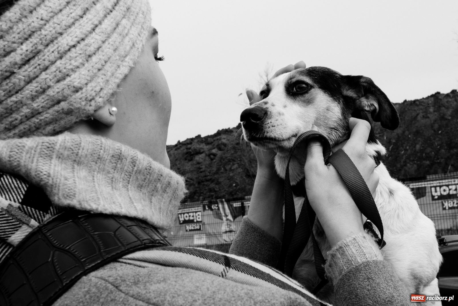 Zdjęcie w galerii na portalu naszraciborz.pl: Raciborscy artyści dla raciborskiego schroniska wiadomości z regionu