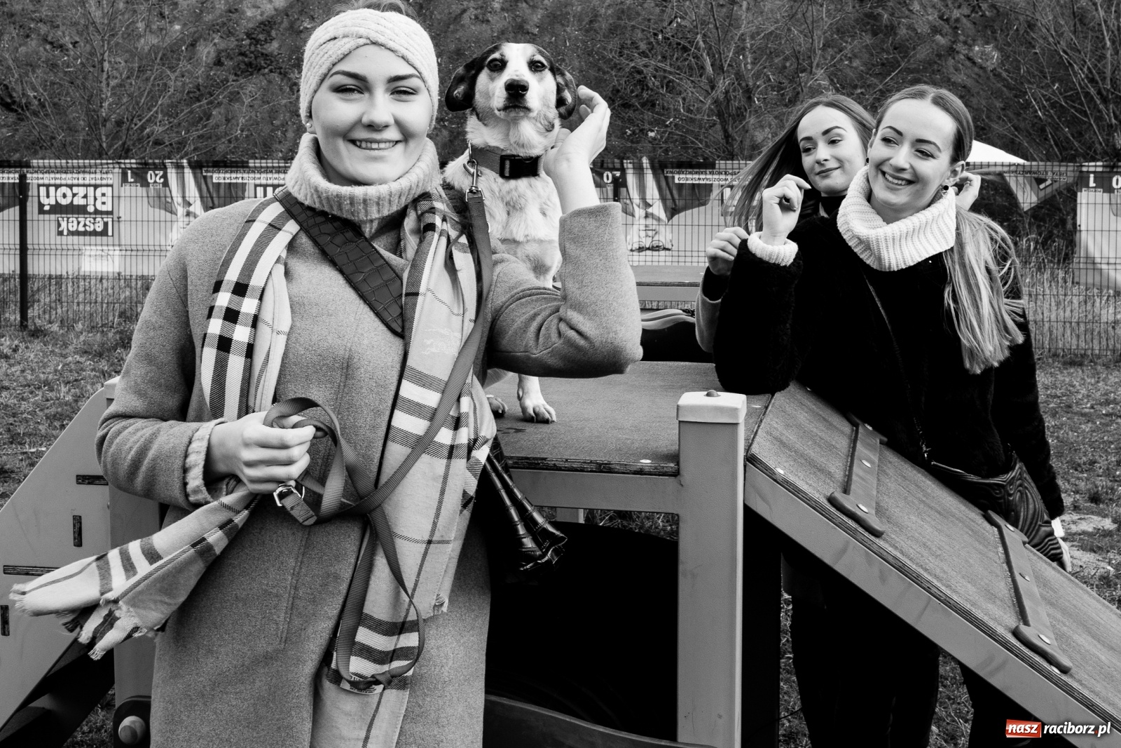 Zdjęcie w galerii na portalu naszraciborz.pl: Raciborscy artyści dla raciborskiego schroniska wiadomości z regionu