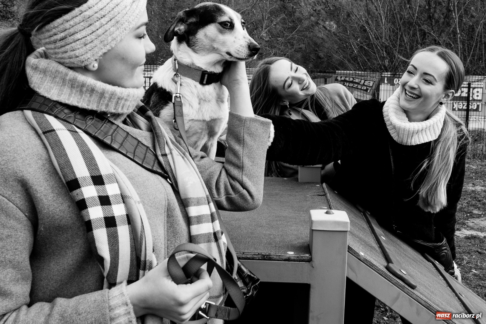 Zdjęcie w galerii na portalu naszraciborz.pl: Raciborscy artyści dla raciborskiego schroniska wiadomości z regionu