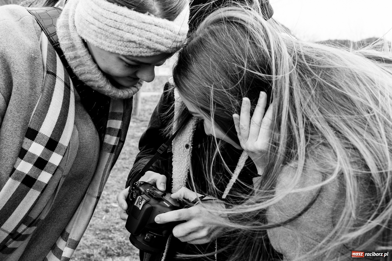 Zdjęcie w galerii na portalu naszraciborz.pl: Raciborscy artyści dla raciborskiego schroniska wiadomości z regionu