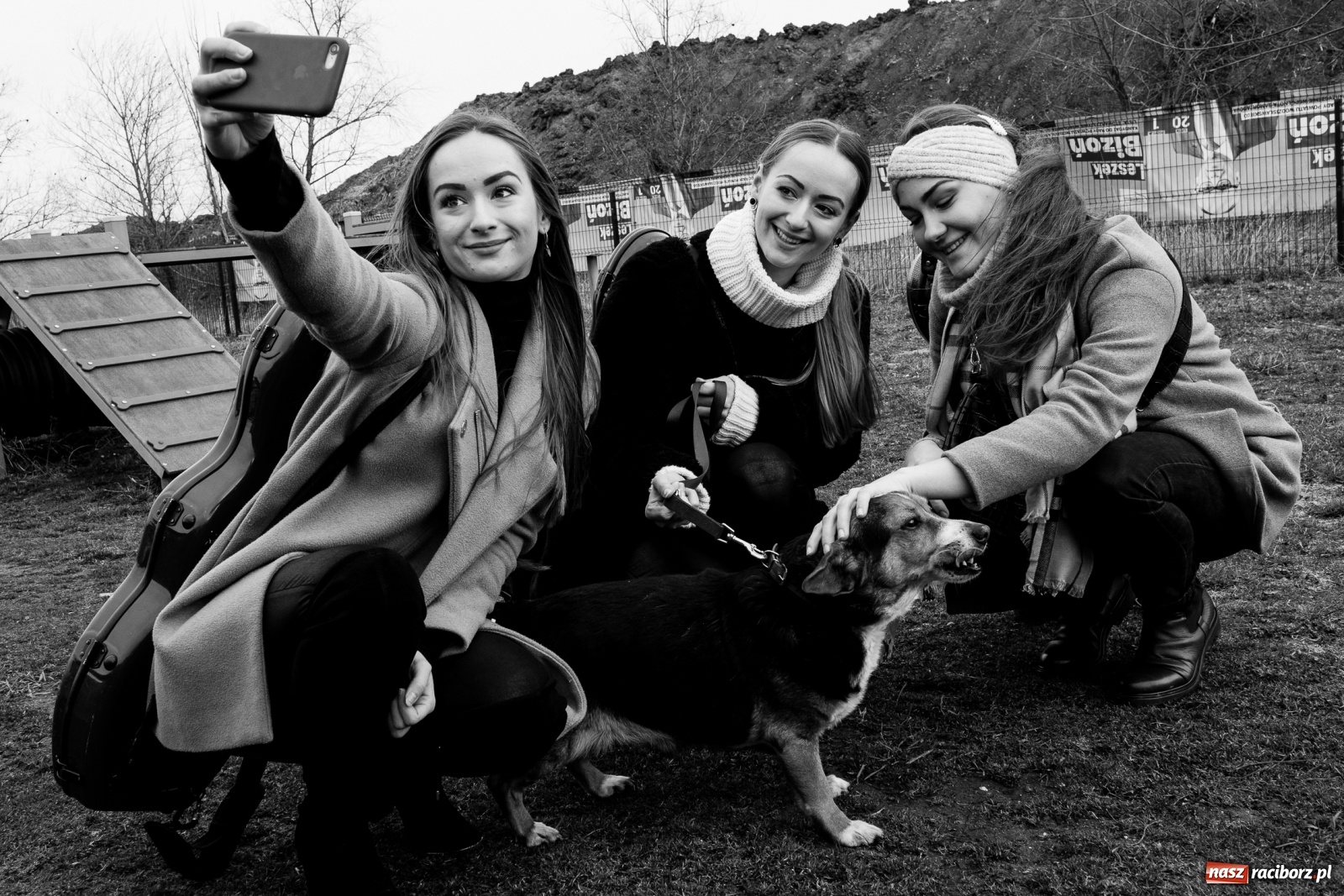 Zdjęcie w galerii na portalu naszraciborz.pl: Raciborscy artyści dla raciborskiego schroniska wiadomości z regionu