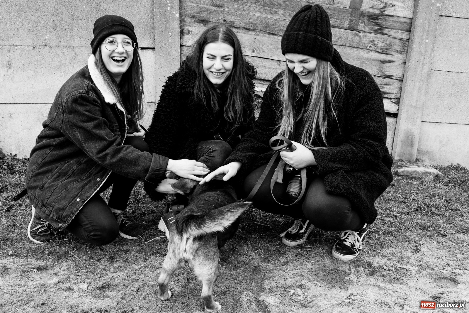 Zdjęcie w galerii na portalu naszraciborz.pl: Raciborscy artyści dla raciborskiego schroniska wiadomości z regionu