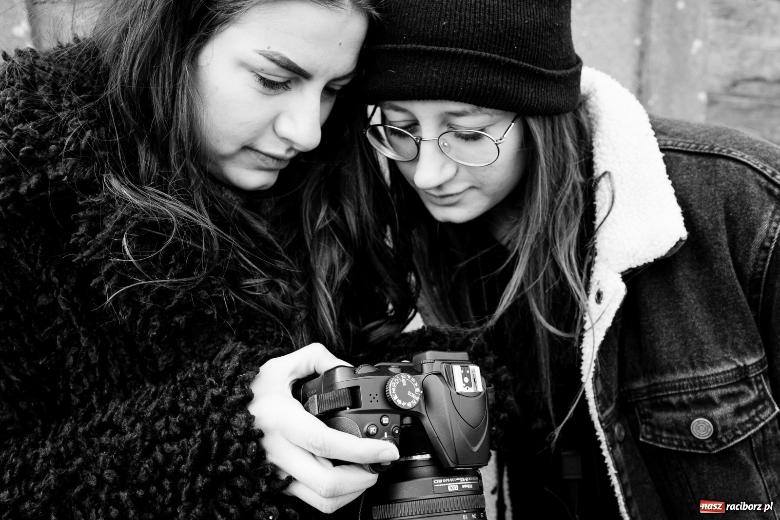 Zdjęcie w galerii na portalu naszraciborz.pl: Raciborscy artyści dla raciborskiego schroniska wiadomości z regionu