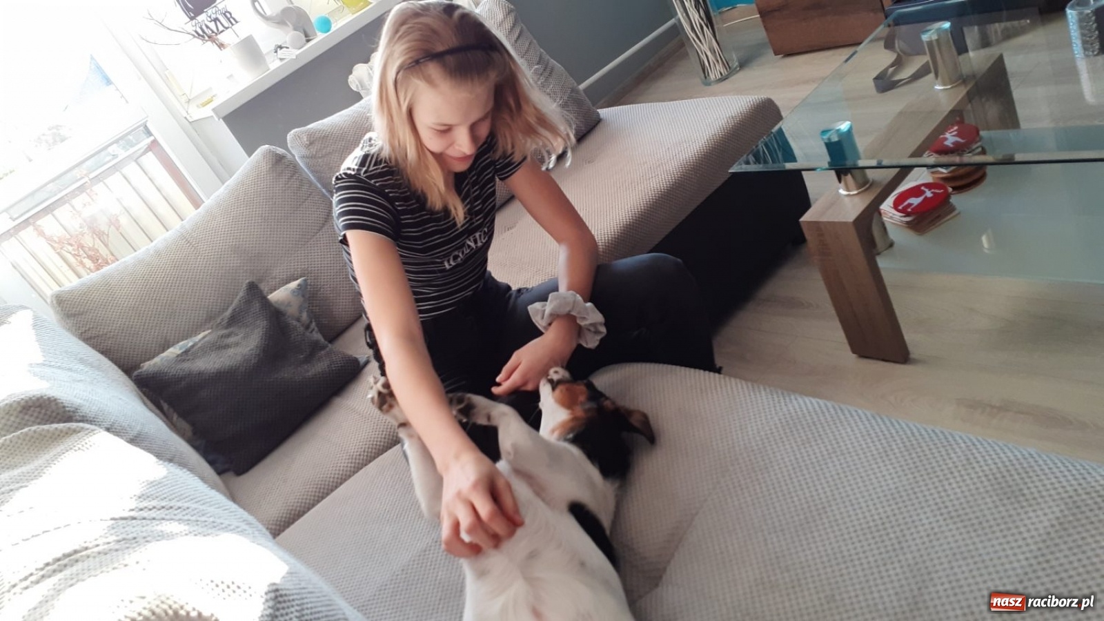 Zdjęcie w galerii na portalu naszraciborz.pl: Myślisz o adopcji? Posłuchaj historii Iskry wiadomości z regionu