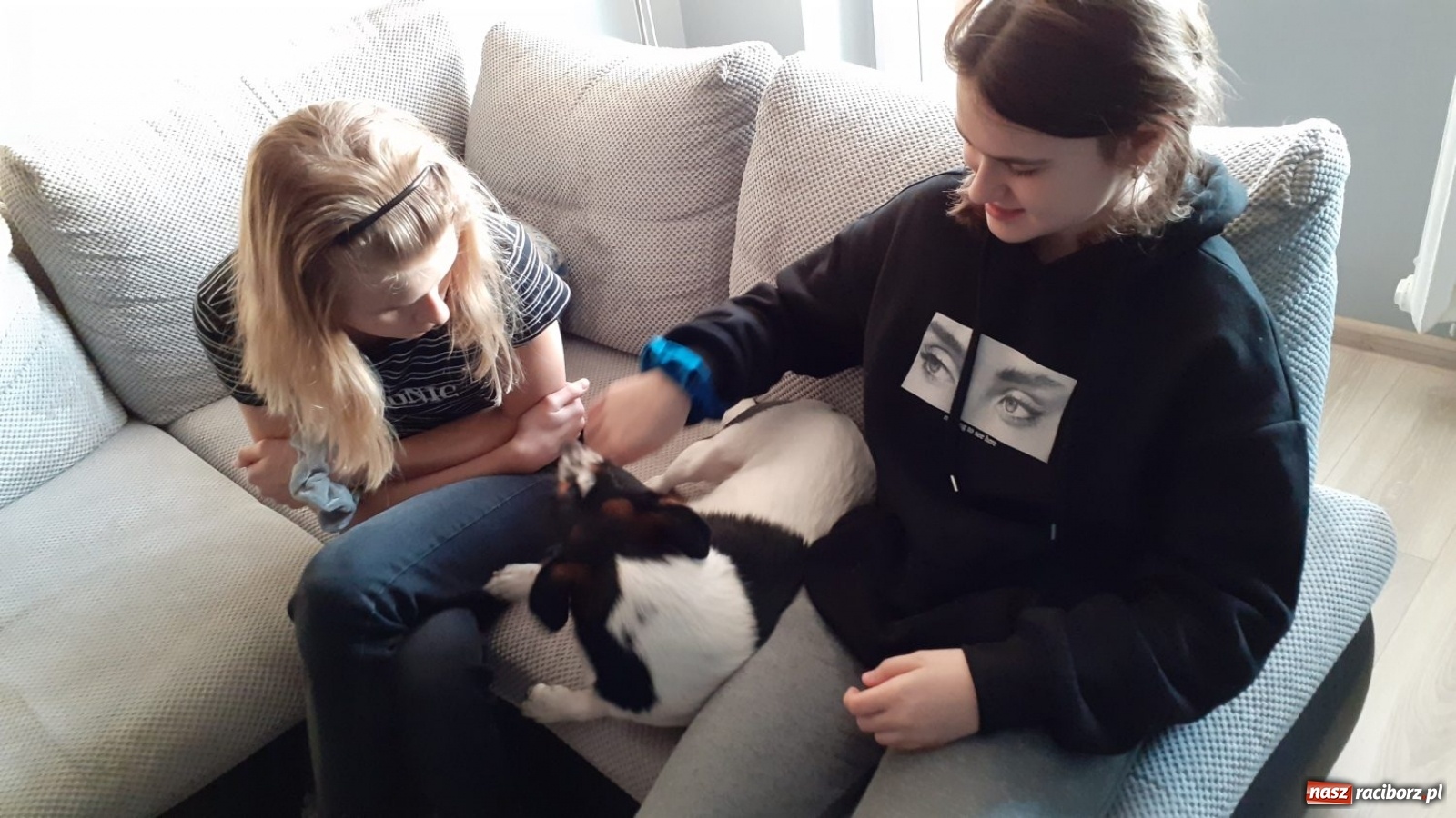 Zdjęcie w galerii na portalu naszraciborz.pl: Myślisz o adopcji? Posłuchaj historii Iskry wiadomości z regionu