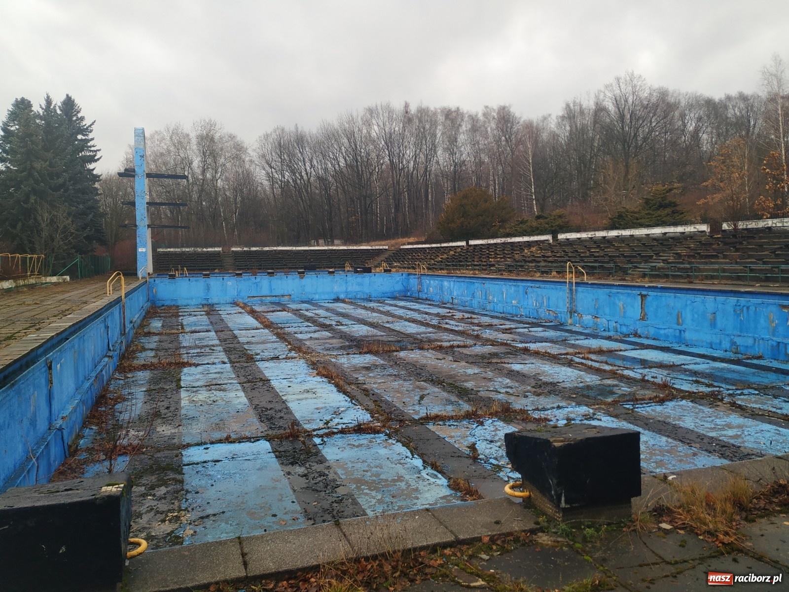 Zdjęcie w galerii na portalu naszraciborz.pl: Modernizacja Parku Śląskiego. Nowe wyzwanie dla studentów architektury raciborskiej PWSZ wiadomości z regionu