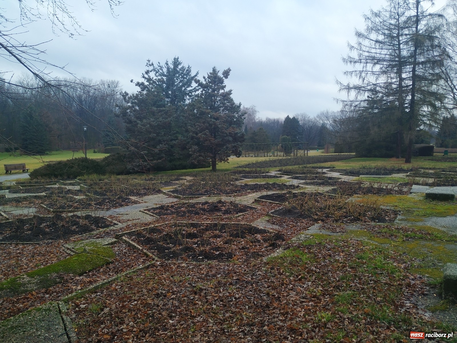 Zdjęcie w galerii na portalu naszraciborz.pl: Modernizacja Parku Śląskiego. Nowe wyzwanie dla studentów architektury raciborskiej PWSZ wiadomości z regionu