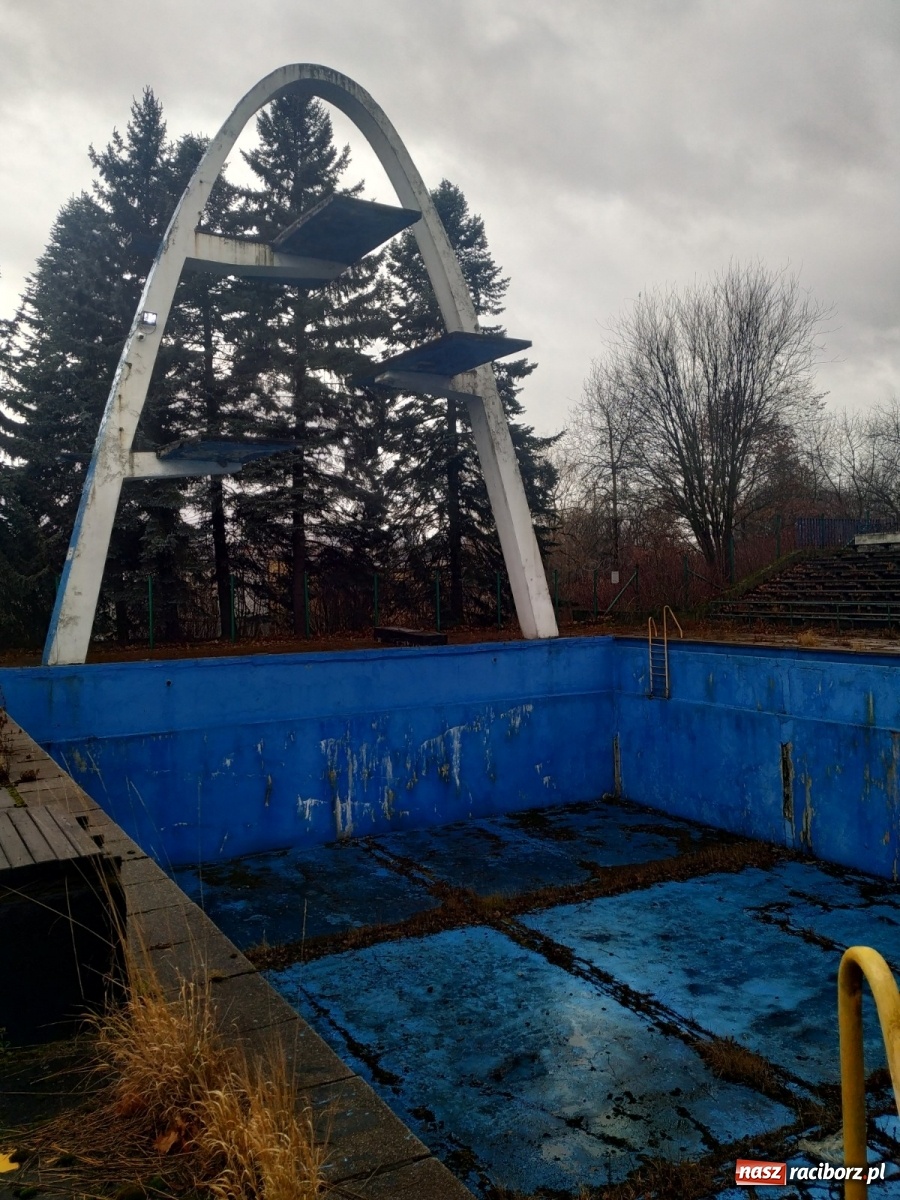 Zdjęcie w galerii na portalu naszraciborz.pl: Modernizacja Parku Śląskiego. Nowe wyzwanie dla studentów architektury raciborskiej PWSZ wiadomości z regionu