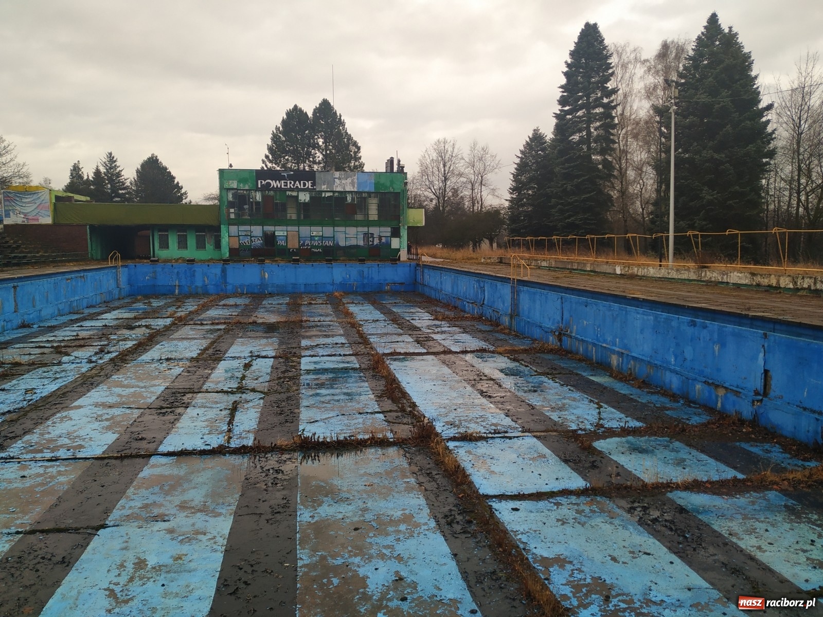 Zdjęcie w galerii na portalu naszraciborz.pl: Modernizacja Parku Śląskiego. Nowe wyzwanie dla studentów architektury raciborskiej PWSZ wiadomości z regionu