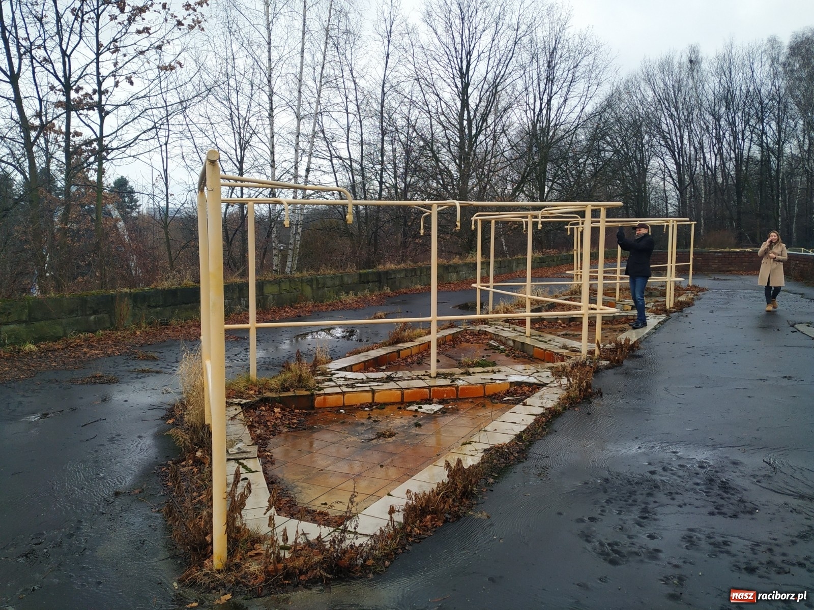 Zdjęcie w galerii na portalu naszraciborz.pl: Modernizacja Parku Śląskiego. Nowe wyzwanie dla studentów architektury raciborskiej PWSZ wiadomości z regionu