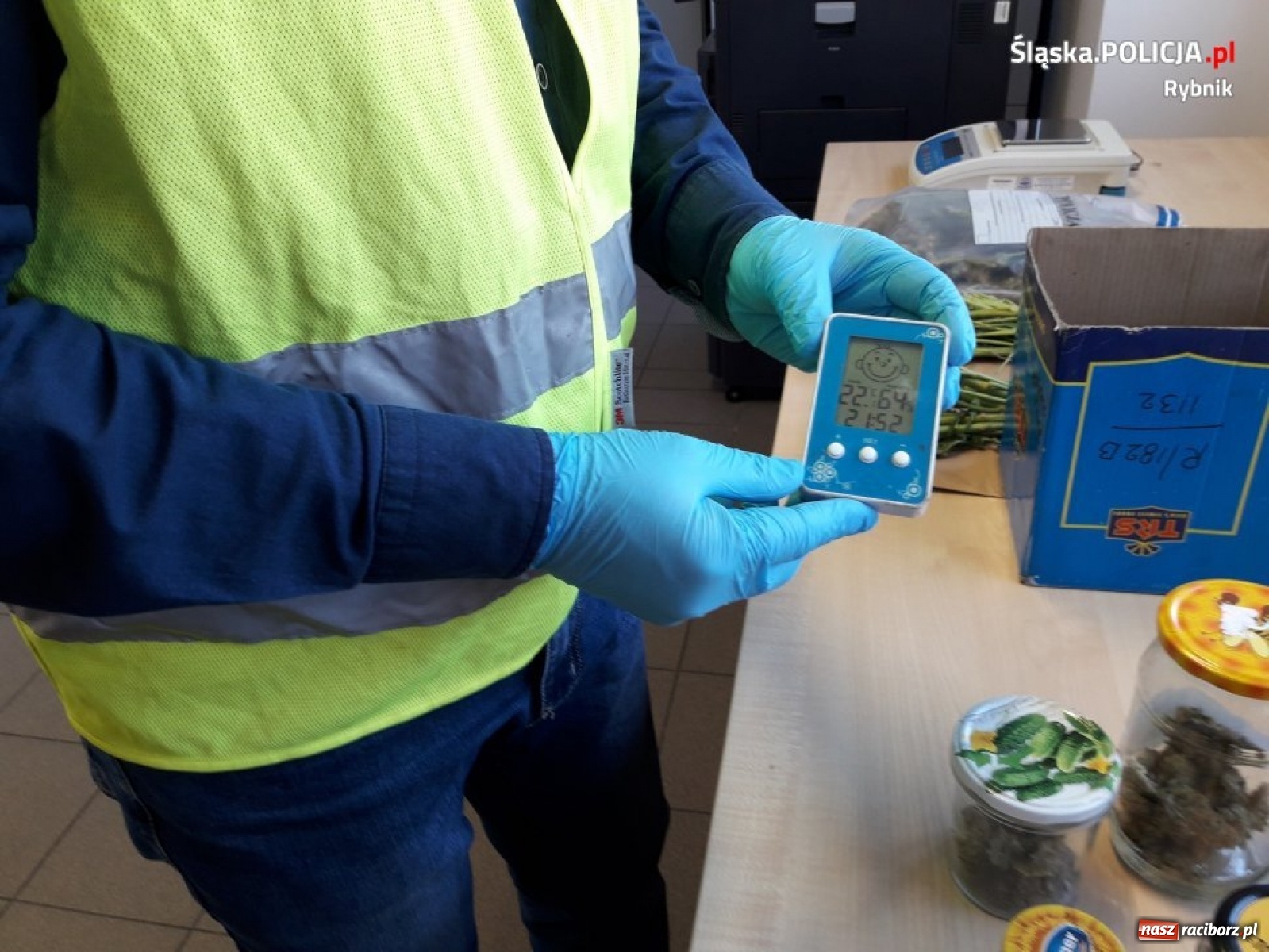 Zdjęcie w galerii na portalu naszraciborz.pl: Policja zlikwidowała ogromną plantację marihuany [FOTO i WIDEO]  wiadomości z regionu