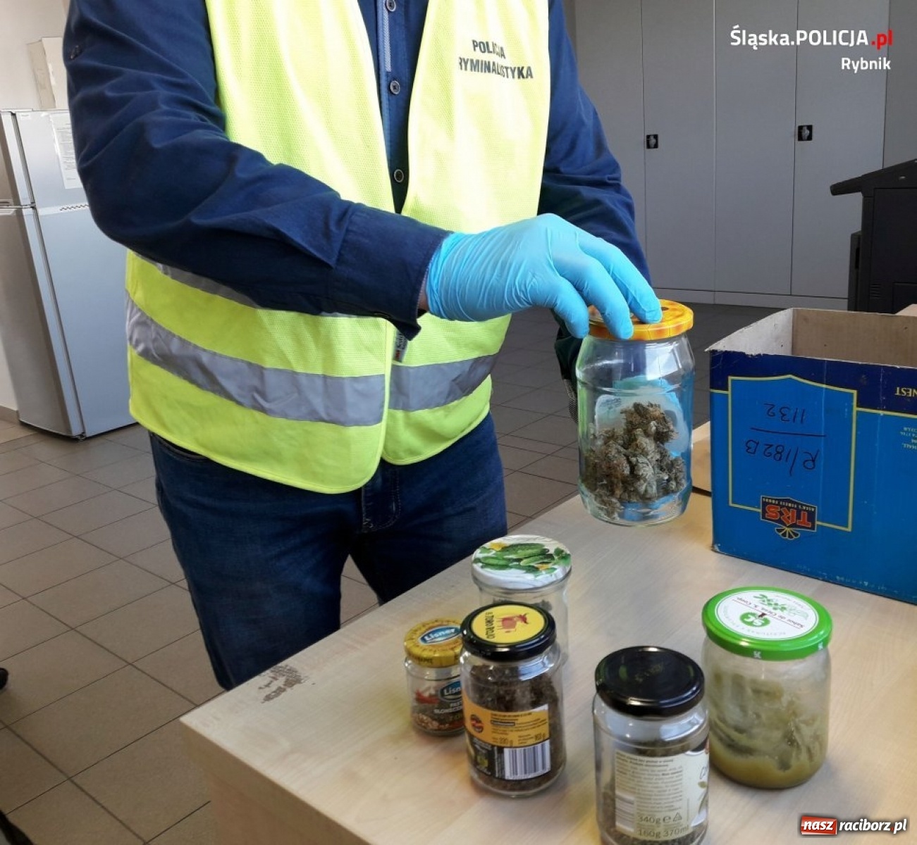 Zdjęcie w galerii na portalu naszraciborz.pl: Policja zlikwidowała ogromną plantację marihuany [FOTO i WIDEO]  wiadomości z regionu