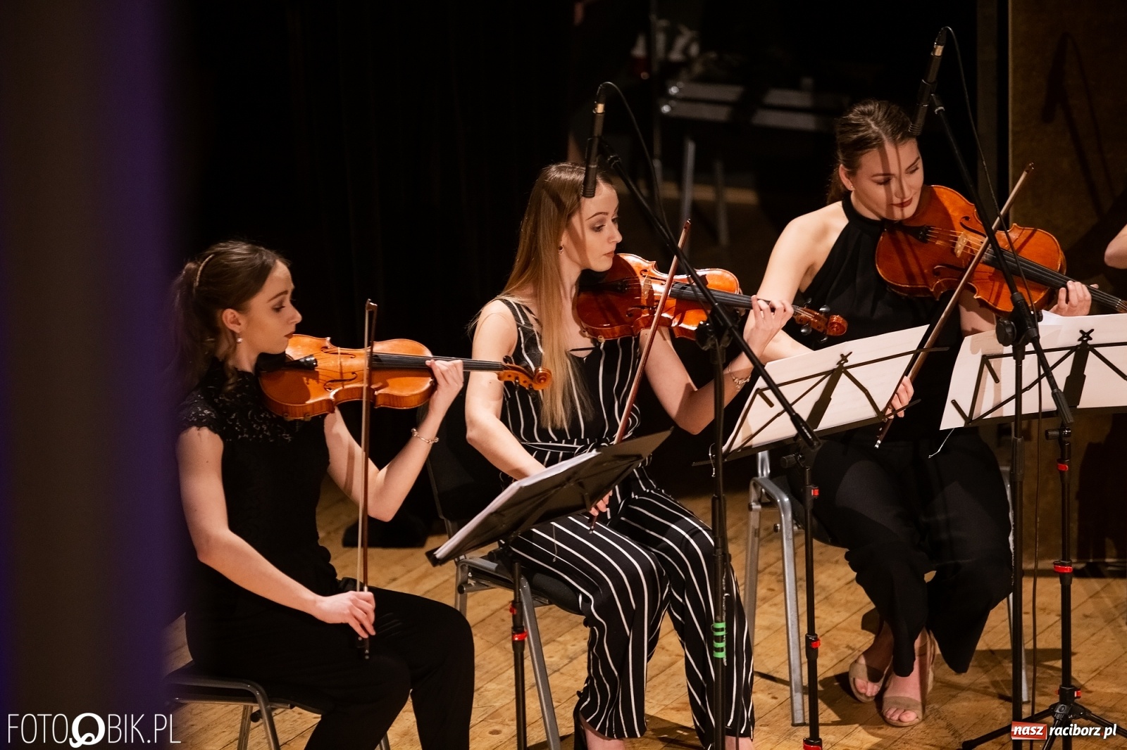 Zdjęcie w galerii na portalu naszraciborz.pl: Raciborscy artyści dla schroniska w RCK wiadomości z regionu
